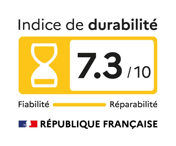 100QNED86A6 LOGO DURABILITE.png