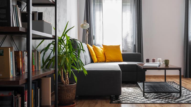 KLIPSCH Enceinte Bluetooth THETHREE+WALNUTEUA