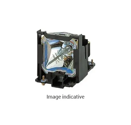 Lampe de remplacement séries PT-TW381, PT-LB426