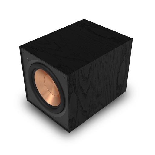 [R-101SW] Subwoofer
